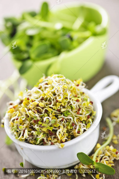 豆芽在杯子