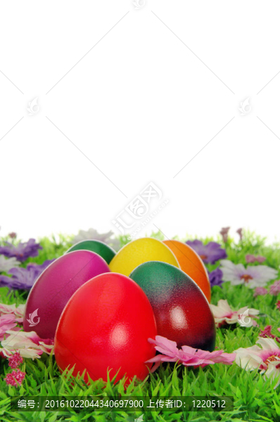 Ostereier,auf,Blumenwiese,-復活節(jié)彩蛋上綴花草地23