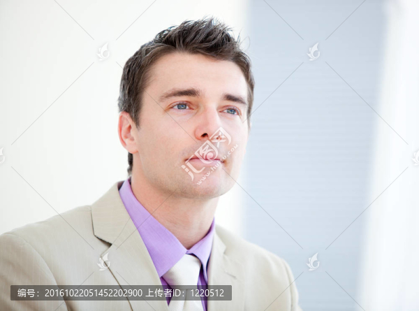 一個有主見的商人的肖像