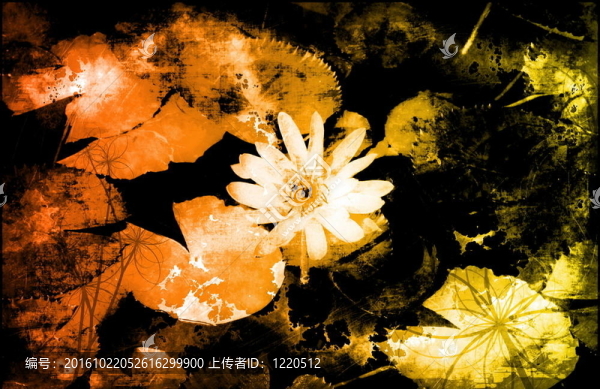 舒緩禪摘要