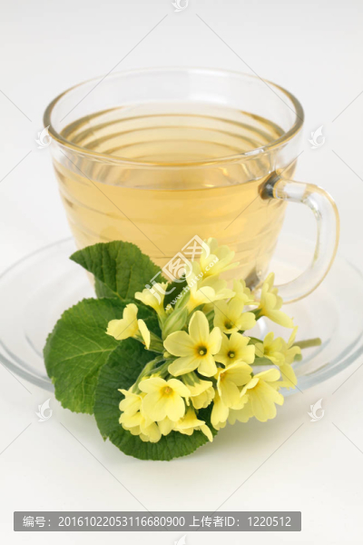 月見草茶