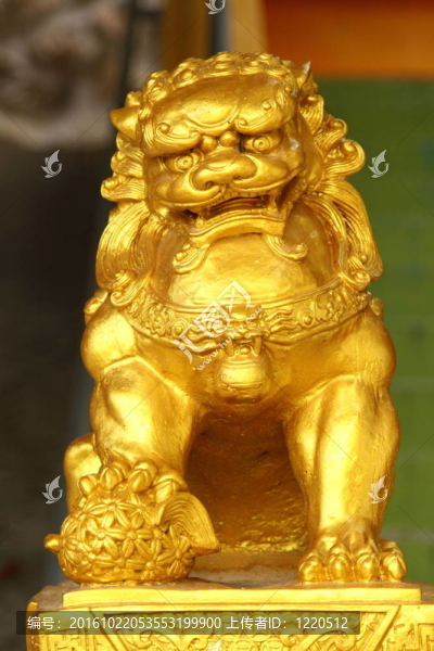 金色的獅子
