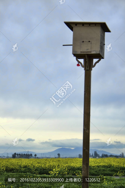 鳥舍