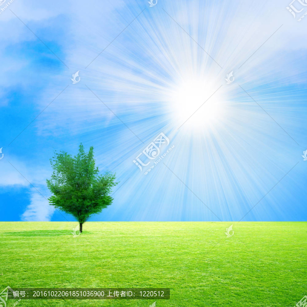 太陽的天空