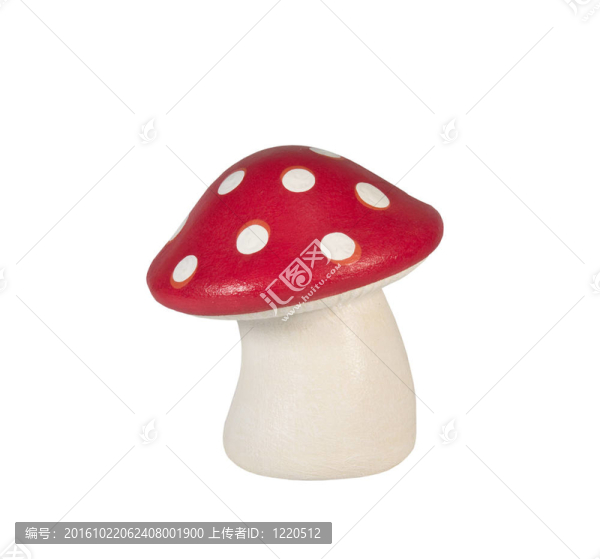 帶道蘑菇