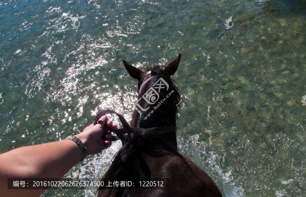 馬背過河