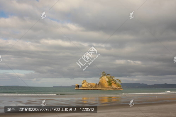 pungapunga島的新西蘭海岸