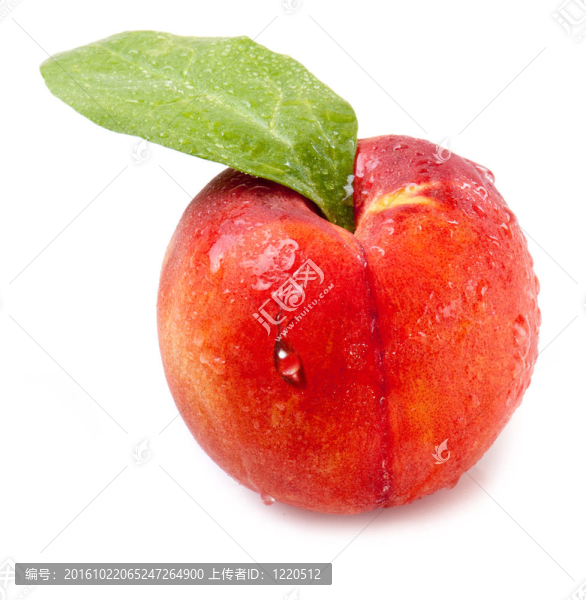 白桃