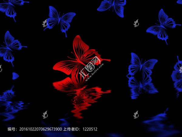 蝴蝶