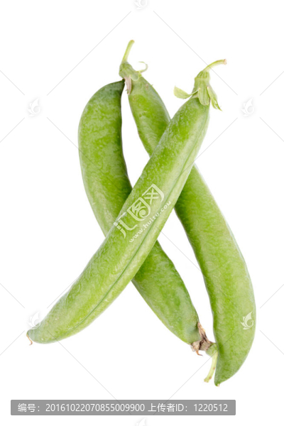 新鮮青豆莢