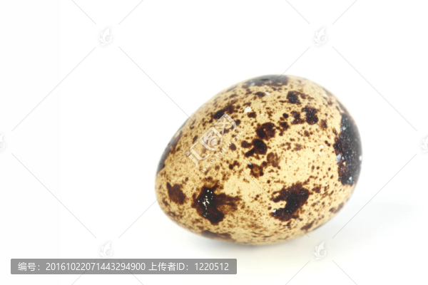 鵪鶉蛋