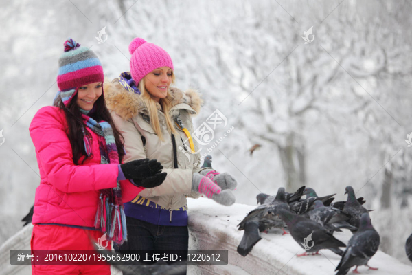 鴿子吃