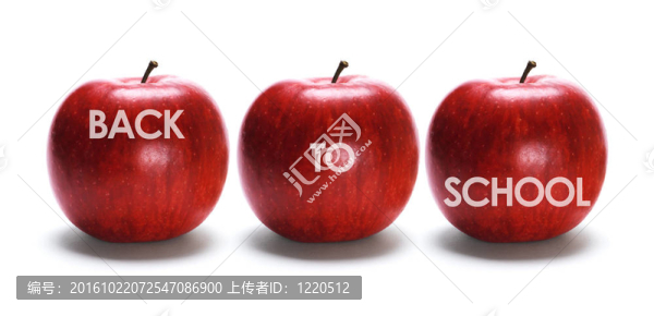 回到學(xué)校的概念
