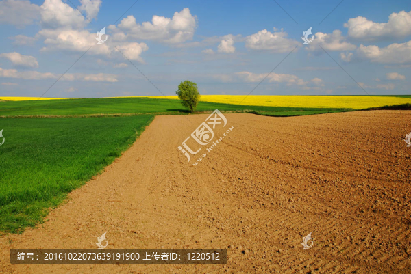 農(nóng)業(yè)景觀