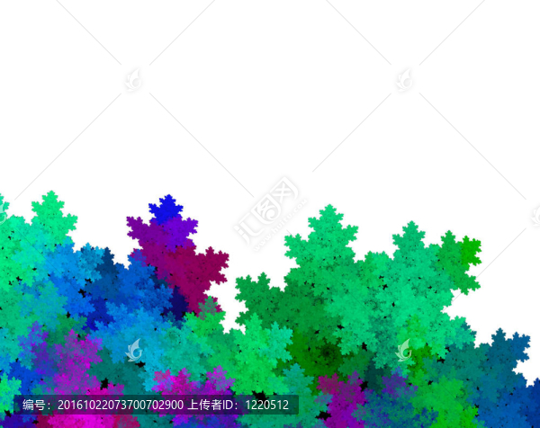 白色背景的葉子