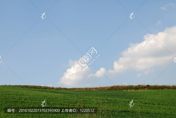 農(nóng)業(yè)景觀