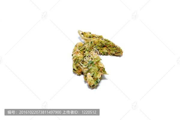 醫(yī)用大麻
