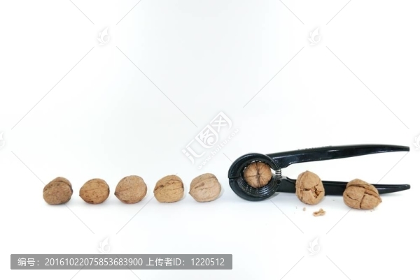 胡桃和核桃。