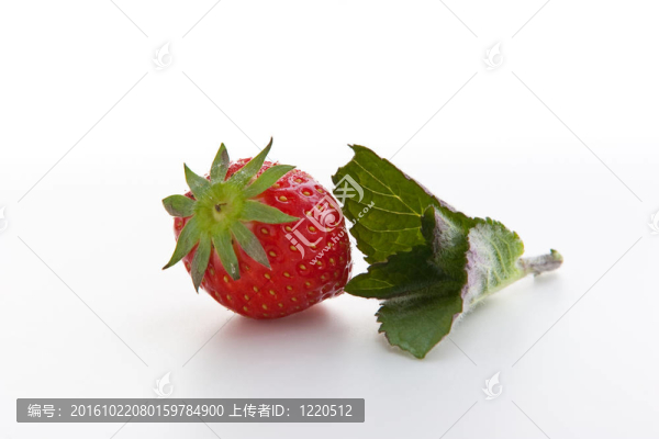 草莓