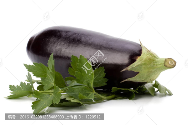 白背景茄子