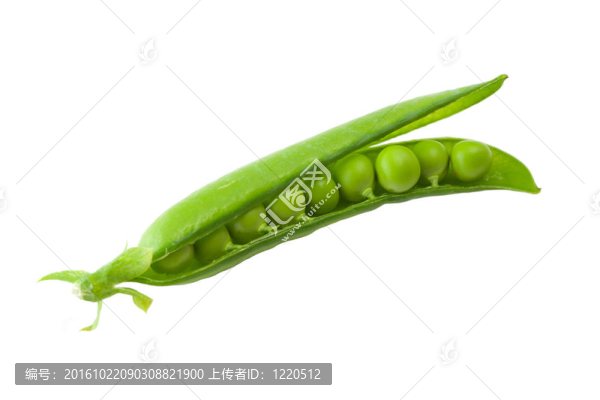 綠色的豌豆莢
