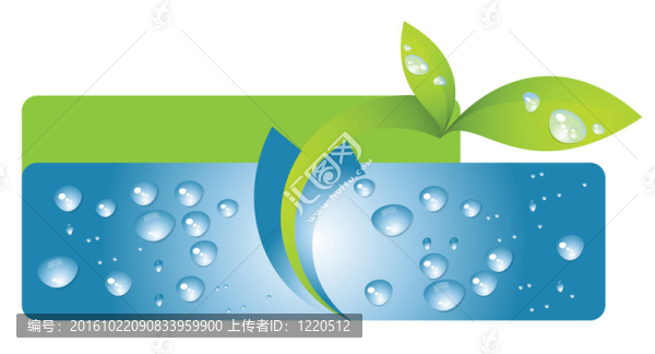 水滴葉