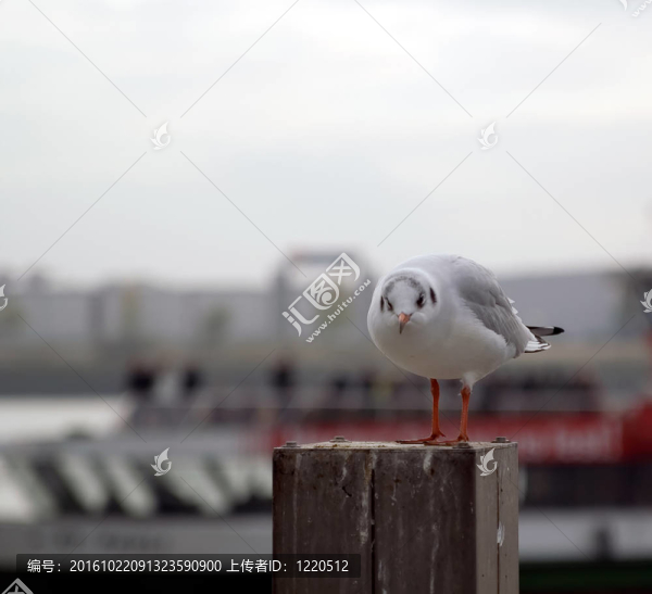 海事