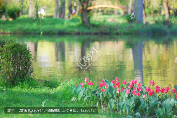 春天的公園