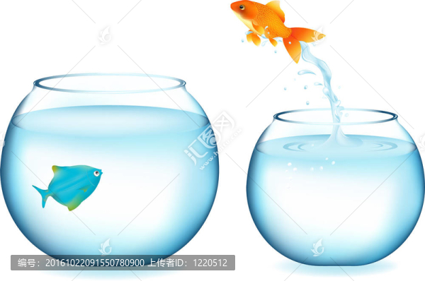 金魚跳到其他魚