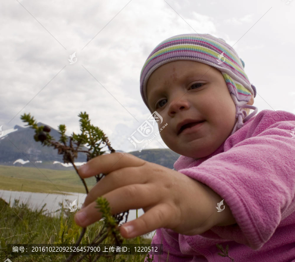 嬰兒（一歲）在高山景觀采摘crowberries