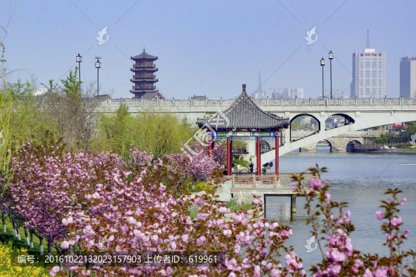 城市公園,涼亭春色