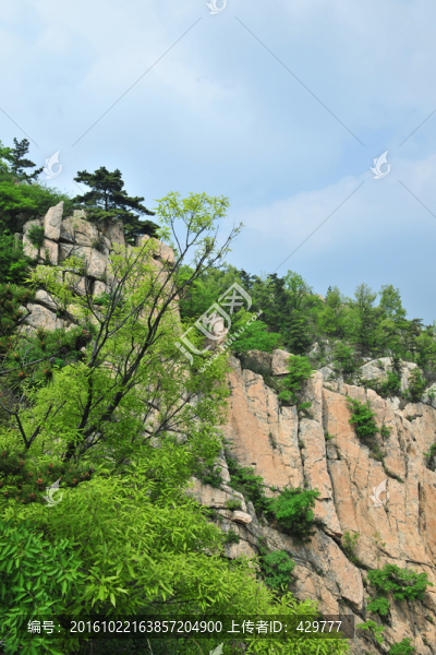 山石,山澗,大山