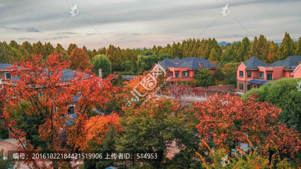 秋天