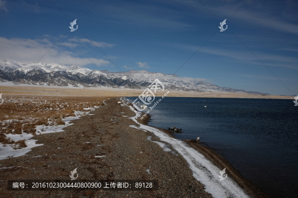 賽里木湖天鵝棲息地