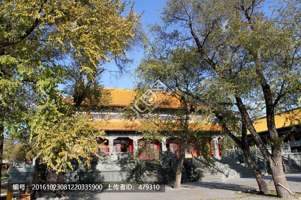 廟,大慶,果成寺,寺廟