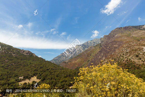 法國科西嘉島科爾特風光