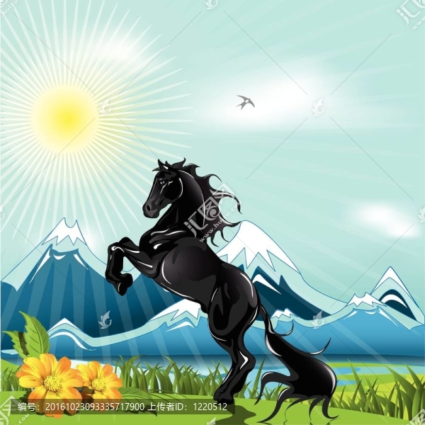 黑色的馬