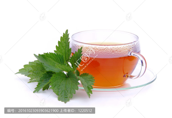 09茶蕁麻