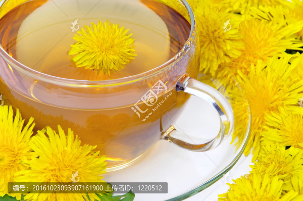蒲公英茶08