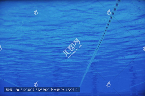 游泳池的水下