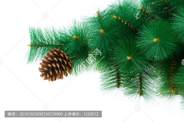 白色背景下的圣誕樹