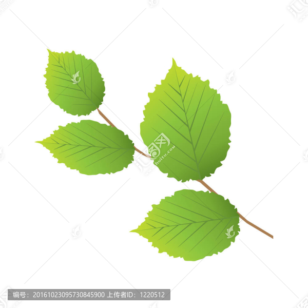 苗