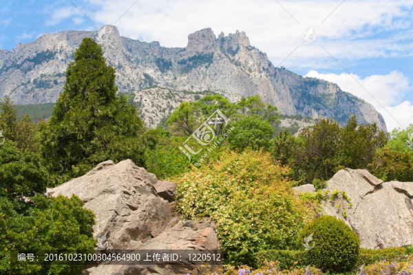 春山景觀