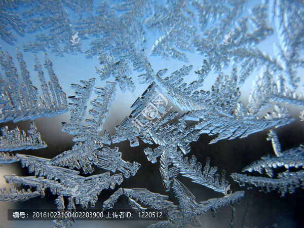 冬窗雪紋