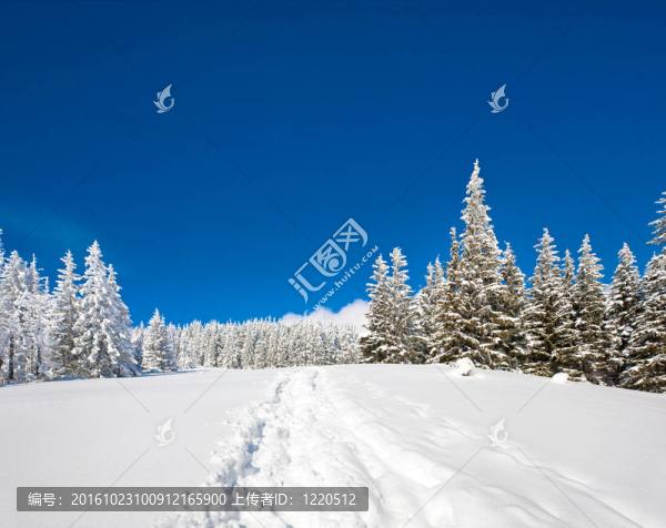 雪景