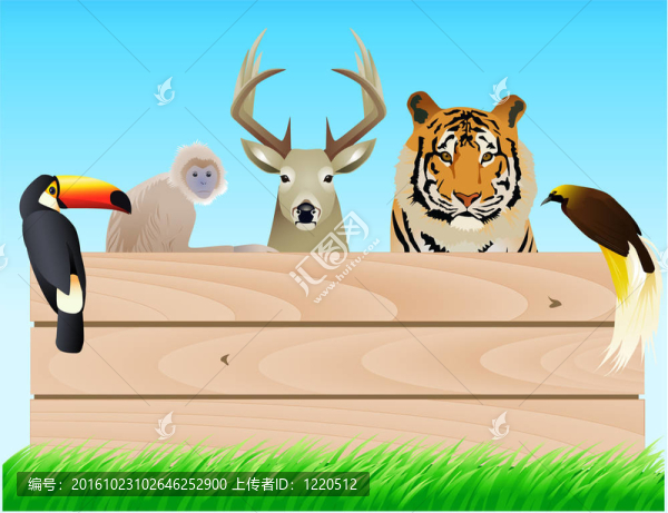 動物插畫