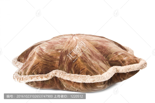 具有白色背景的藝術枕頭