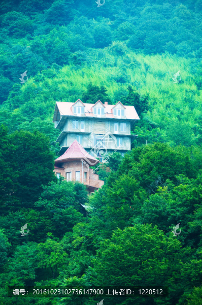 山林中的豪宅