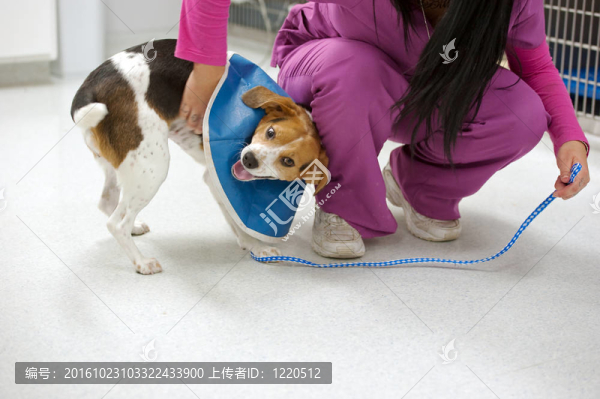 有趣的小病人
