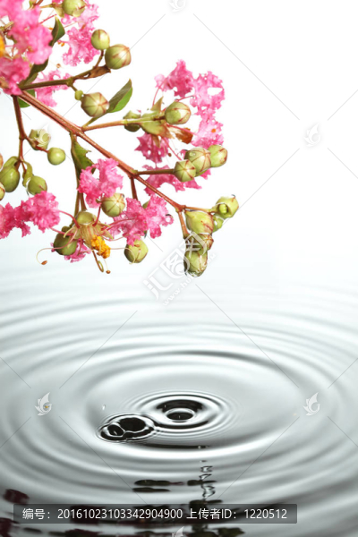 花在水上
